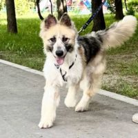 Кьяра, 1,5 года. Москва.