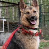 Эва, 8 месяцев. Ногинск М.О.